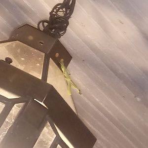 Meet your Posher, Pablo